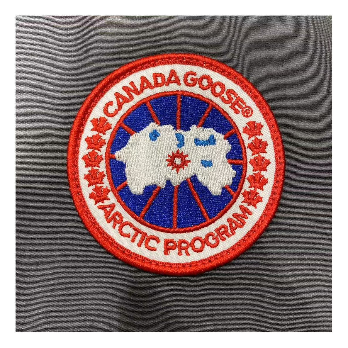 Canada Goose Women's Trillium Down Parka with Fur-Trim Hood