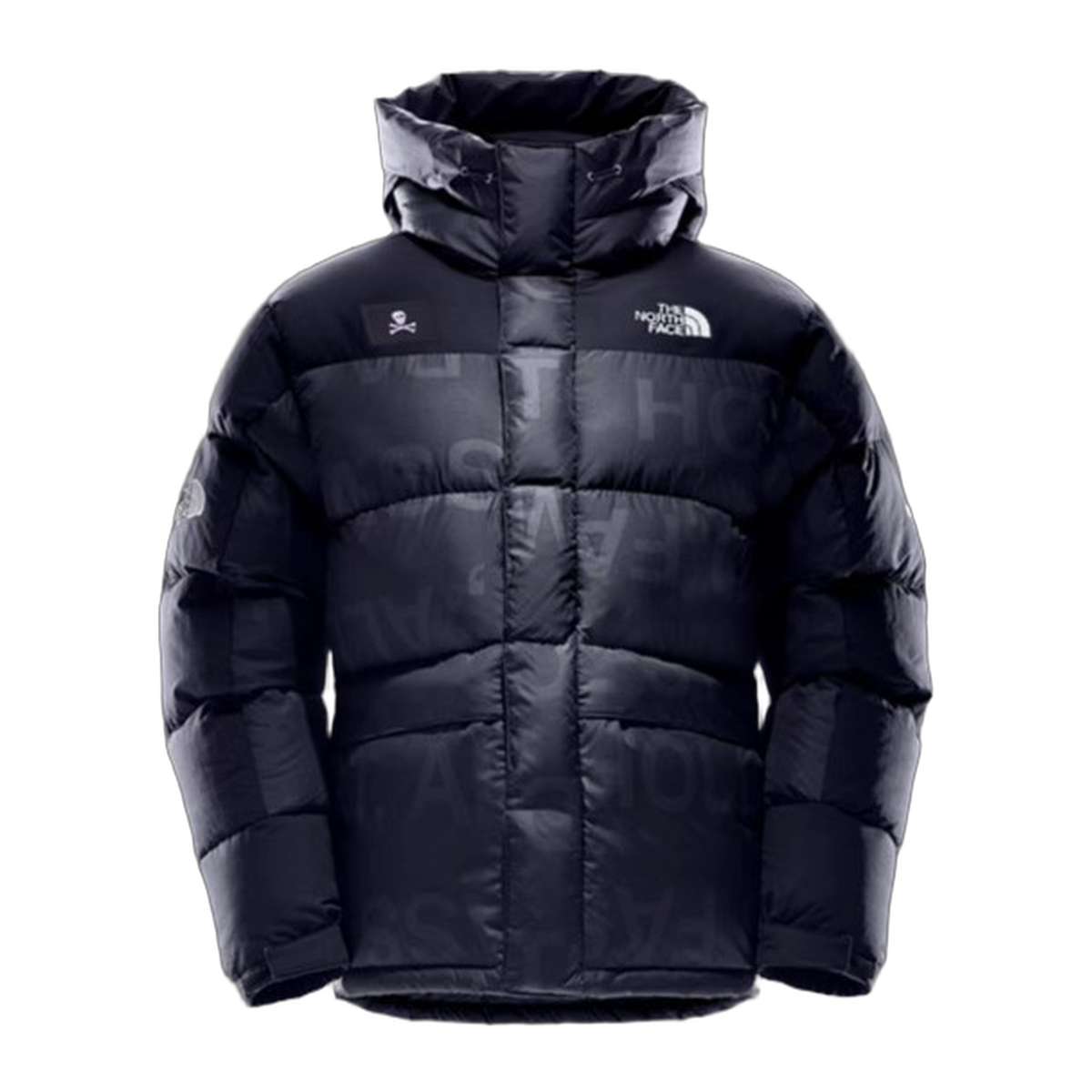 The North Face Urban Exploration Down Parka – UE Special Series 5J27