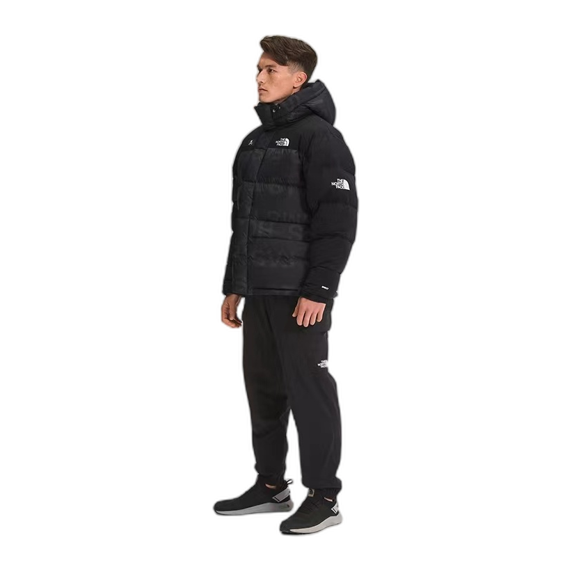 The North Face Urban Exploration Down Parka – UE Special Series 5J27